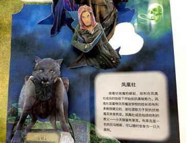 哈利·波特立體書《霍格沃茲》中文版面世，摩點預售引爆千萬哈迷搶購狂歡
