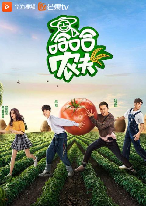 6部熱綜溫暖你的三月 華為視頻帶你看過(guò)癮！