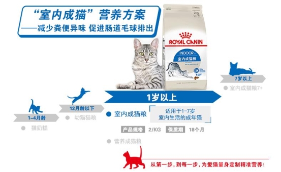 二哈拆家？蘇寧煥新節(jié)給鏟屎官支招