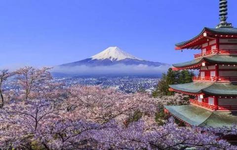 又到賞櫻季！芝麻信用攜手小豬?日本民宿5折起?還可以免押金！