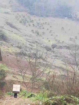 進山送貨成常態(tài)，零售云如何贏得農(nóng)村消費者信任