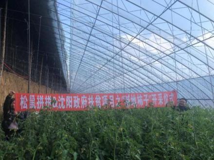 松鼠拼拼攜手沈陽(yáng)市政府精準(zhǔn)扶貧，共同打造甜蜜事業(yè)