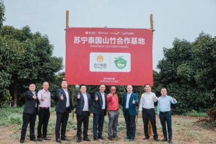 蘇寧卞農(nóng)親赴泰國，霸氣包下2000萬顆榴蓮