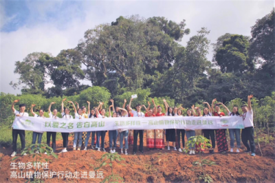 DR PLANT植物醫(yī)生空瓶“長(zhǎng)城”，捍衛(wèi)生物多樣性