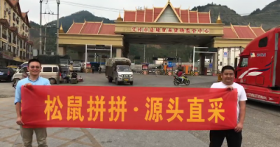 松鼠拼拼搶灘東南亞鮮果叢林，創(chuàng)始人楊俊奔赴源頭直采