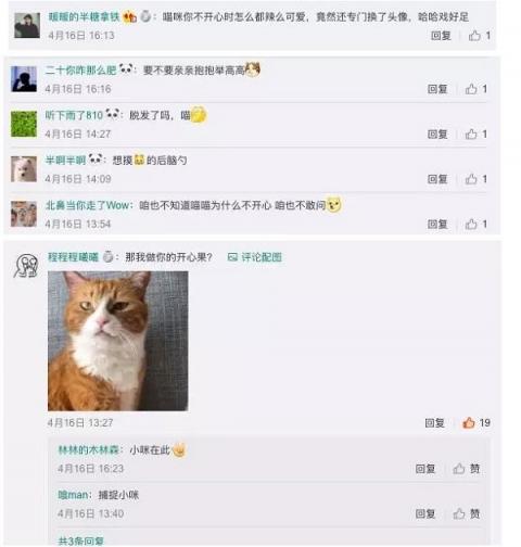 天貓TA為什么不開心？剛剛，這個(gè)秘密正式揭曉