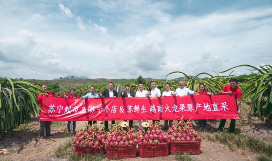 越南火龍果的20分鐘旅程，蘇寧快消實(shí)地見(jiàn)證