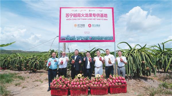蘇寧快消再下一城，“包圓”越南3萬畝火龍果基地