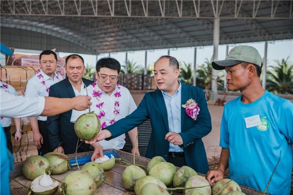 蘇寧快消再下一城，“包圓”越南3萬畝火龍果基地