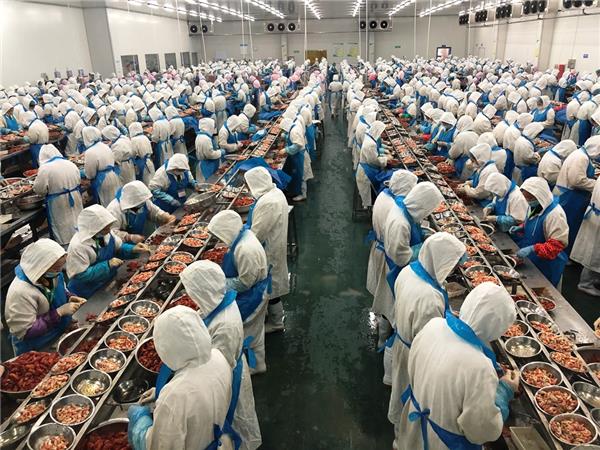 蘇寧快消再下一城，“包圓”越南3萬畝火龍果基地