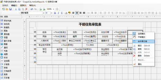 驚艷不止于顏值！報表控件ActiveReports V13.1 正式發(fā)布