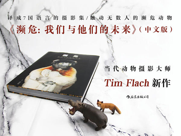 攝影集《瀕危》獲周迅舒淇發(fā)聲支持，摩點為改善瀕危動物生存環(huán)境助力