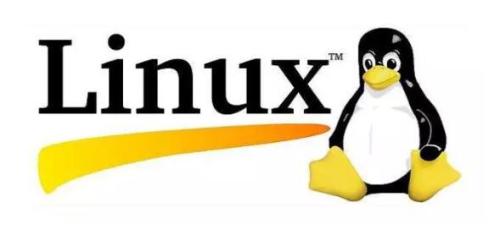 感受開源之美，共享 Linux 的安全與便捷