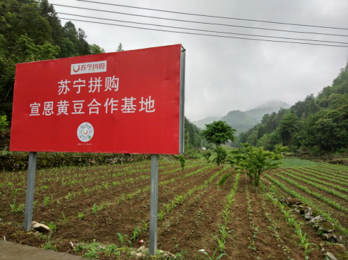 助力貧困縣變身，蘇寧拼購智慧零售賦能優(yōu)勢獲央黨媒點贊