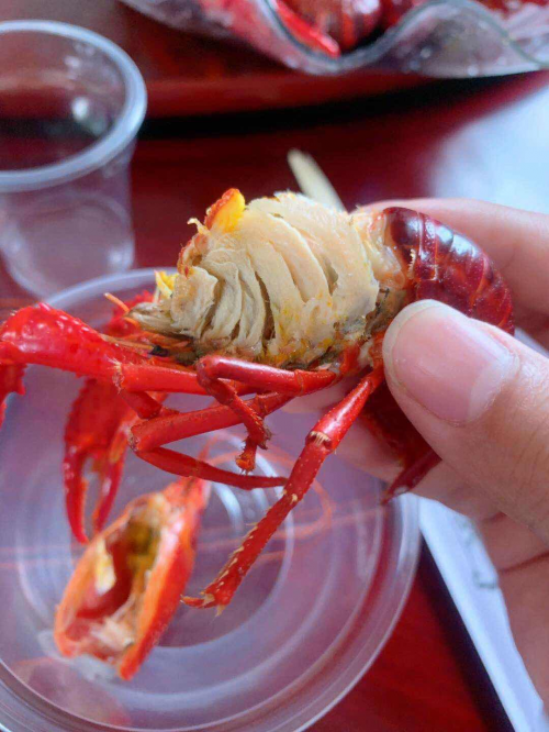 無小龍蝦不夏天！蘇寧拼購拼基地助力生鮮自由頻獲央黨媒點(diǎn)贊