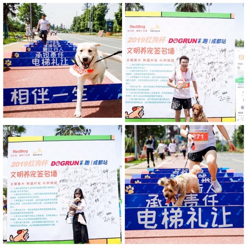 奔跑吧紅狗杯，千名寵友攜652只狗狗狂歡六一
