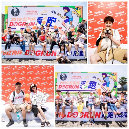 奔跑吧紅狗杯，千名寵友攜652只狗狗狂歡六一