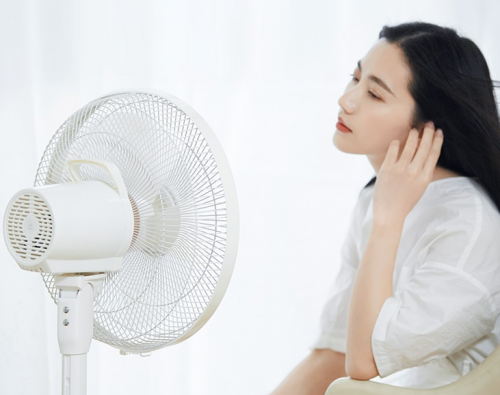 電風扇行業(yè)亂象跌生，網易智造逆流而上