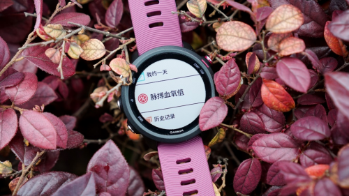 Garmin Forerunner 245，全新升級(jí)帶來全新體驗(yàn)