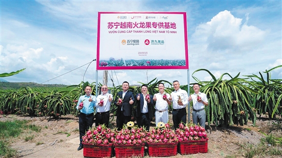 水果“漲聲一片”？蘇寧快消助你“水果自由”