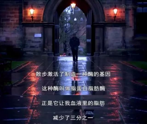 如何打破的魔咒？Garmin教你見招拆招