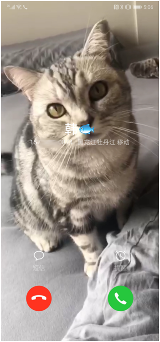 小版本大更新！華為Mate 20系列升級(jí)EMUI9.1帶來(lái)方舟編譯器