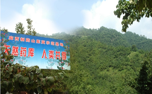 匠心傳承經(jīng)典！2019西普會(huì)“仲景”榮膺“健康中國·品牌榜”上榜品牌