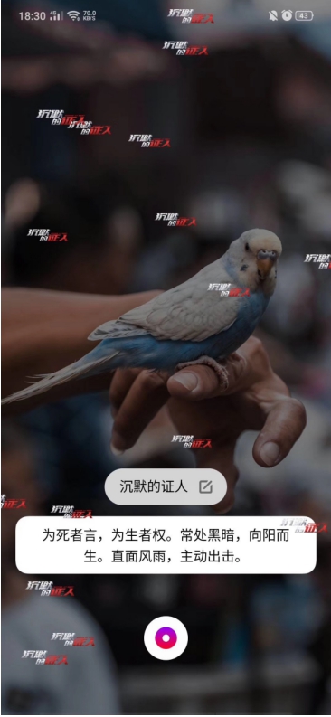 Breeno語(yǔ)音X電影《沉默的證人》，跨界合作帶來(lái)電影體驗(yàn)升級(jí)，“沉默的證人”不再沉默