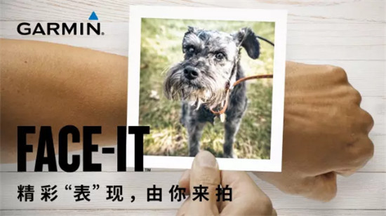 Garmin Connect IQ APP正式上線,帶你玩轉佳明手表!