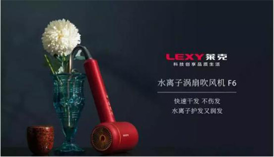 萊克萊克F6水離子渦扇吹風(fēng)機(jī)，護(hù)發(fā)潤(rùn)發(fā)不傷發(fā)
