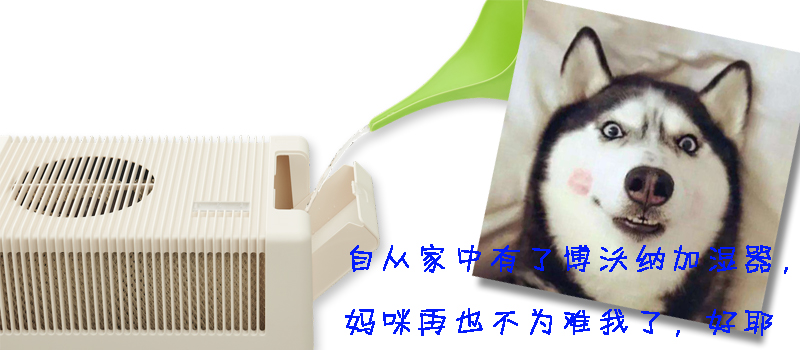 博沃納：一個(gè)月只需要按下一次開關(guān)的加濕器