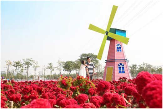 國慶黃金周喜逢盈香生態(tài)園玻璃橋驗收通過！網(wǎng)紅景區(qū)再迎游客高峰