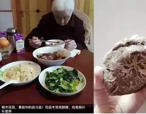 你養(yǎng)我長大，我陪你變老