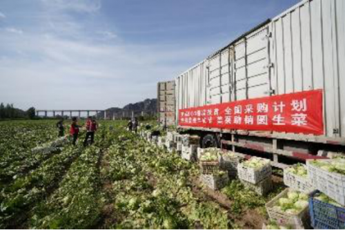 美菜網(wǎng)加速推進(jìn)縣域合伙人制度，助力鄉(xiāng)村振興