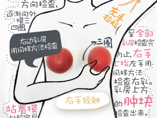 關(guān)愛乳房情系粉紅絲帶，劉燕釀制助力女性健康