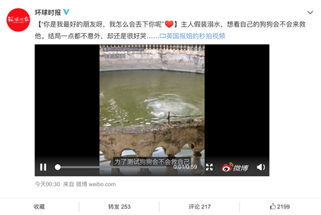 鏟屎官們注意了，萌寵又到了換毛季，家人的健康要時刻關(guān)注