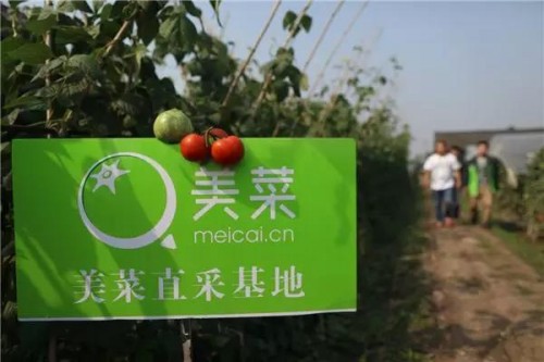 美菜與開元酒店集團達成戰(zhàn)略合作，打造采購新模式為行業(yè)賦能