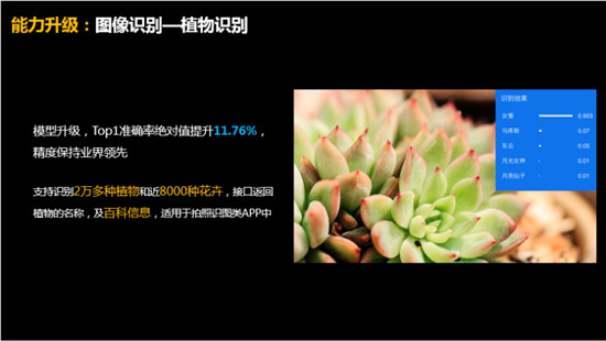 用百度大腦植物識別，快速搞定“萬種植物和花卉”小工具