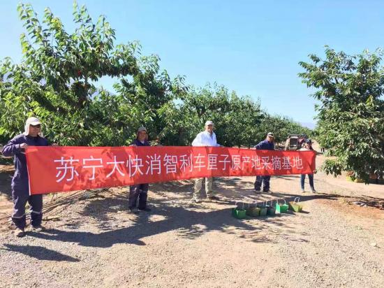 蘇寧包機(jī)直采智利車?yán)遄?，原產(chǎn)地直采戰(zhàn)略再升級(jí)