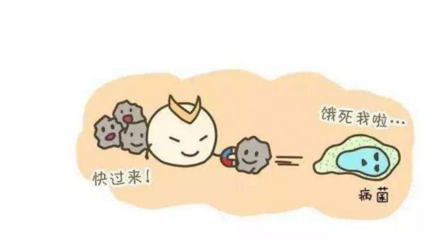 DR.HS澳洲赫醫(yī)生乳鐵蛋白：以匠心成就品質(zhì)，以有機(jī)助力成長(zhǎng)