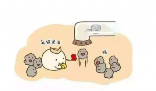 DR.HS澳洲赫醫(yī)生乳鐵蛋白：以匠心成就品質(zhì)，以有機(jī)助力成長(zhǎng)