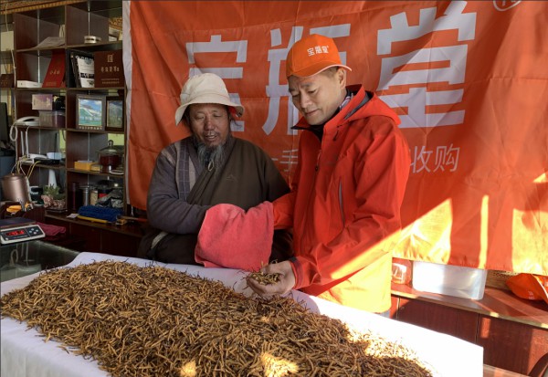 購(gòu)物狂歡節(jié)賣(mài)到斷貨,寶瓶堂創(chuàng)始人第五次入藏產(chǎn)地直采