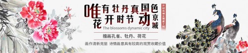 家里掛花鳥畫好嗎？丁珂手繪牡丹國畫，掛在家里好看又吉祥