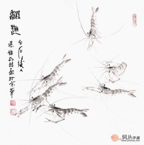 收藏中國(guó)蝦畫：樸喆寫意國(guó)畫蝦 收藏字畫首選