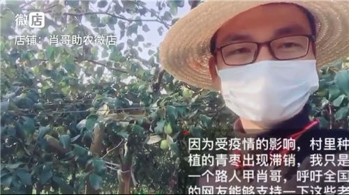 微店助力線下商家戰(zhàn)“疫”：重在簡(jiǎn)單、快速、有效