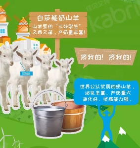 免疫力差的寶寶吃羊奶粉好嗎?羊奶粉值得選擇嗎？
