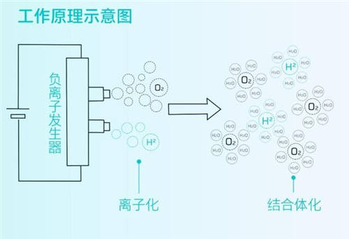 守護全方位，安全無死角，HYCAN 007將搭載HEPA高效空調(diào)濾芯