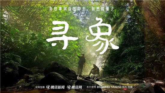 去雨林深處，聽大象長吟，自然紀(jì)錄片《尋象》正式上線！