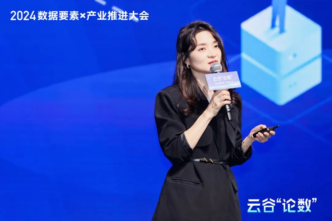 2024云谷“論數(shù)”：數(shù)據(jù)要素×產(chǎn)業(yè)的新要素，新業(yè)態(tài)，新增長