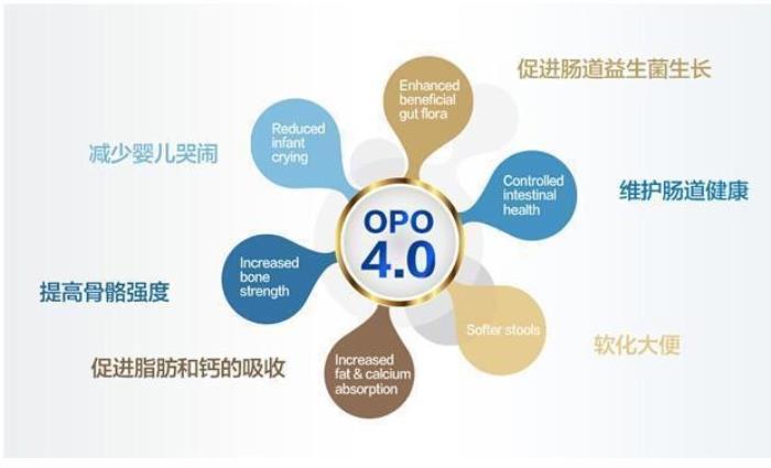 OPO在奶粉中的作用與功效有哪些？精準(zhǔn)科普助力選奶